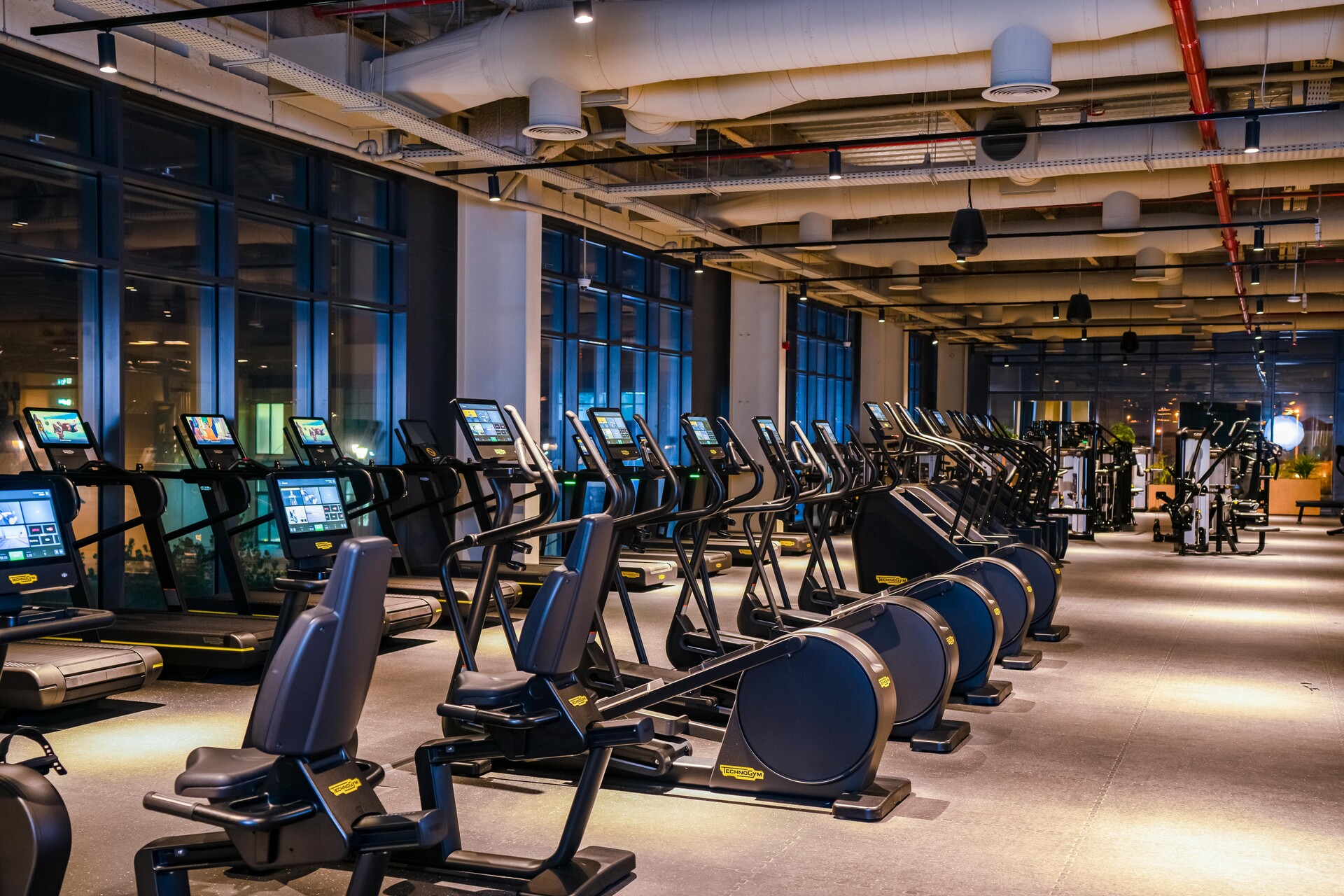 Gym In Jumeirah Park | The Warehouse Gym