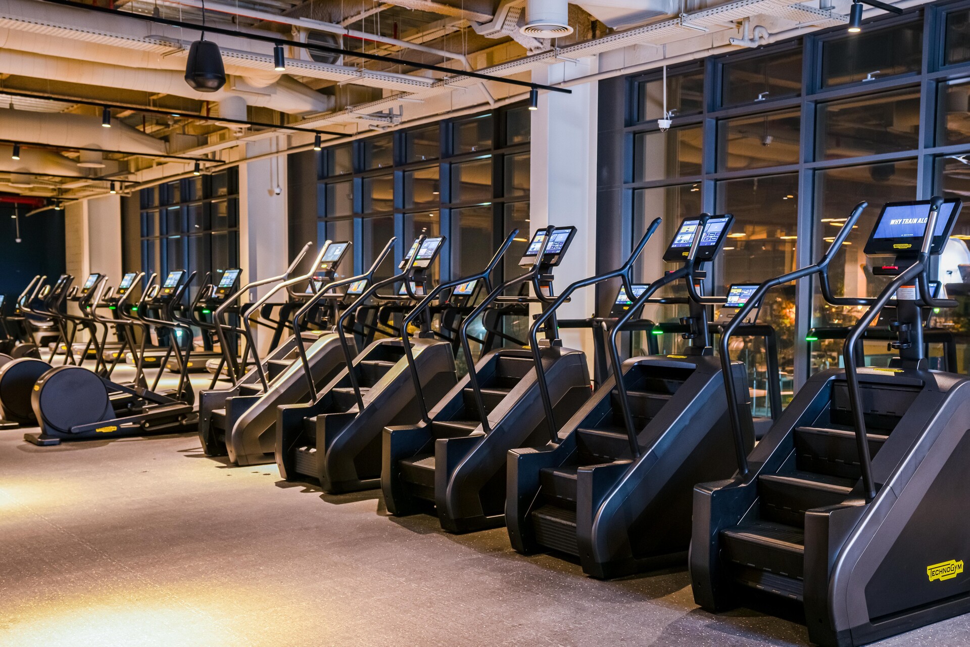 Gym In Jumeirah Park | The Warehouse Gym